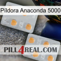 Píldora Anaconda 5000 25